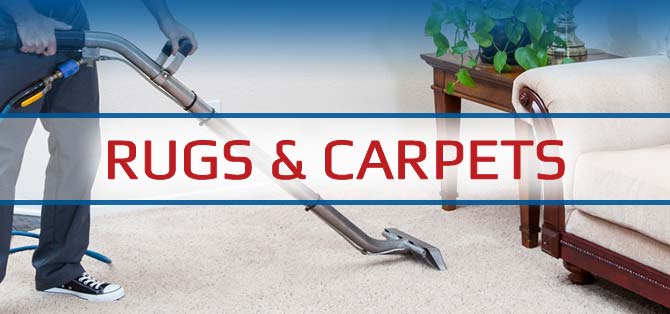 SaniTech Services Rug and Carpet Cleaning